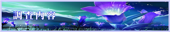 調査内容